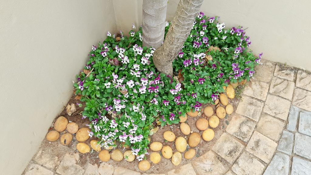 Jenvey House Selfcatering Apartments & Bnb Πορτ Ελίζαμπεθ Εξωτερικό φωτογραφία